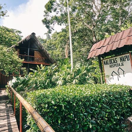 Maloka Napue - Ecodestinos Hotel Puerto Narino Exterior photo